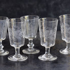 Etched Wine Glass Set of 5 - elsie green - the french kitchen