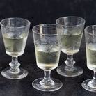Etched Wine Glass Set of 5 - elsie green - the french kitchen
