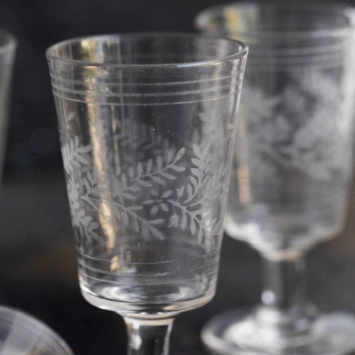 Etched Wine Glass Set of 5 - elsie green - the french kitchen