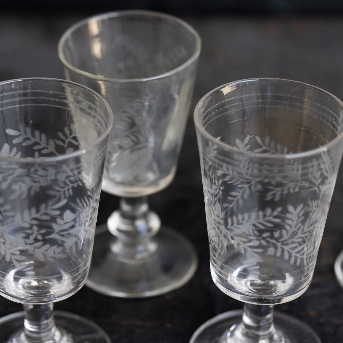 Etched Wine Glass Set of 5 - elsie green - the french kitchen
