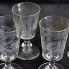 Etched Wine Glass Set of 5 - elsie green - the french kitchen