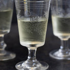 Etched Wine Glass Set of 5 - elsie green - the french kitchen