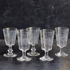 Etched Wine Glass Set of 5 - elsie green - the french kitchen