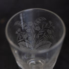 Etched Wine Glass Set of 5 - elsie green - the french kitchen