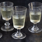 Etched Wine Glass Set of 5 - elsie green - the french kitchen