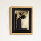 Feather & Shadow | Gaetan Caron | Lost Art Salon Collection - elsie green - art