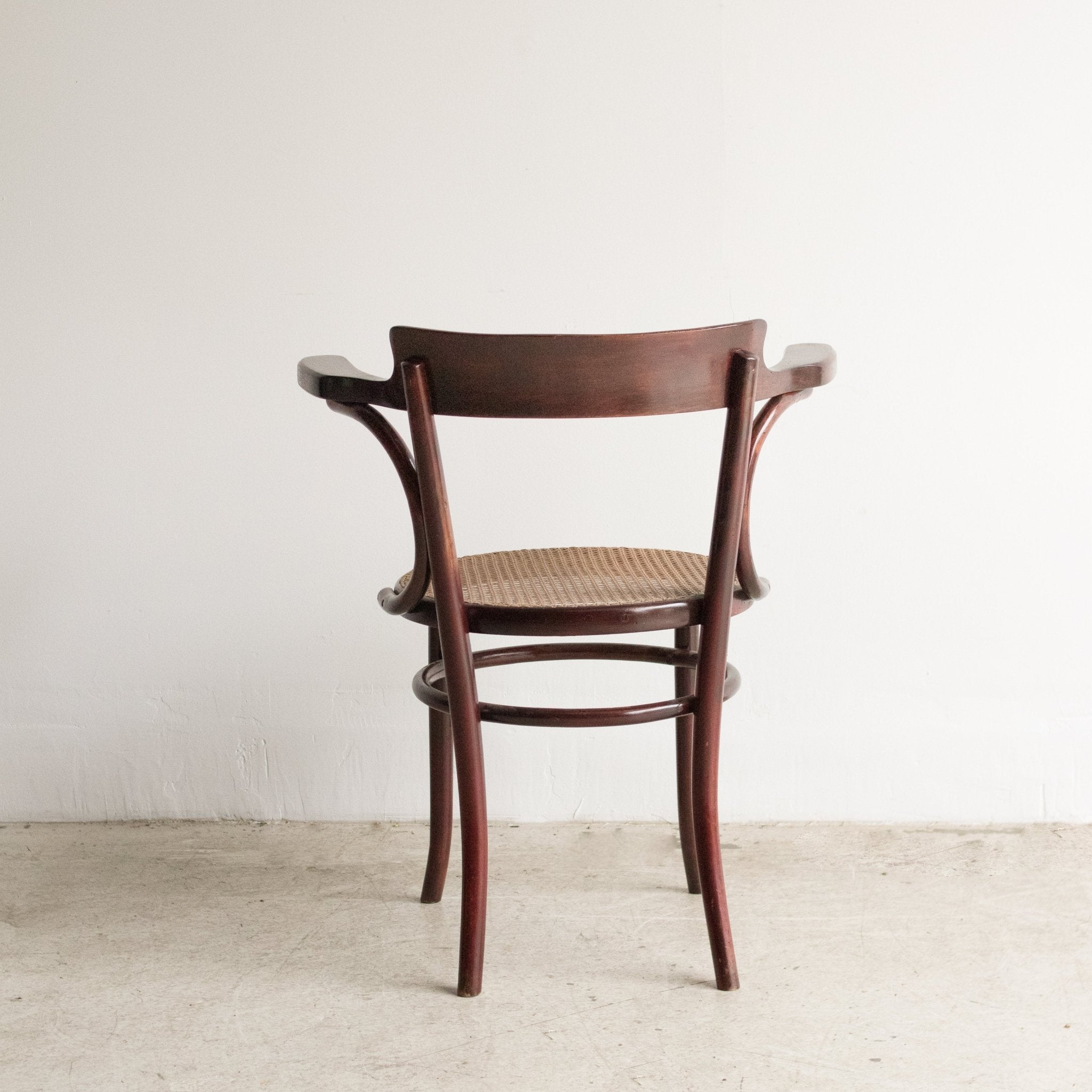 Fischel Arm Chair with Birds - eye Cane - elsie green - furniture