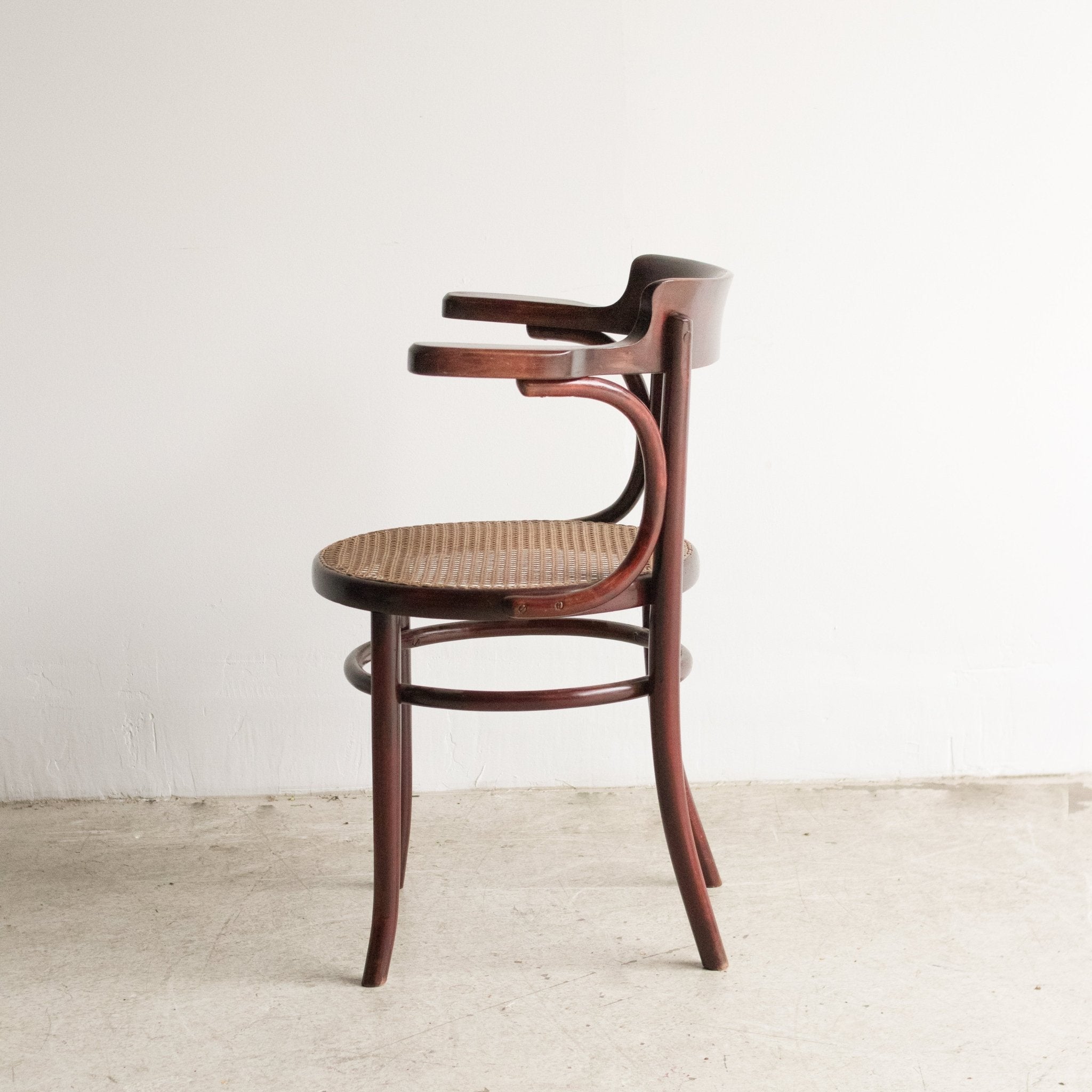Fischel Arm Chair with Birds - eye Cane - elsie green - furniture