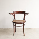 Fischel Arm Chair with Birds - eye Cane - elsie green - furniture