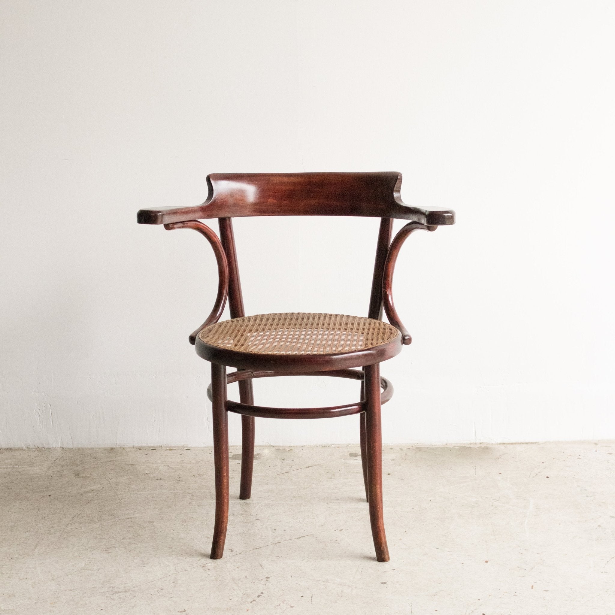 Fischel Arm Chair with Birds - eye Cane - elsie green - furniture