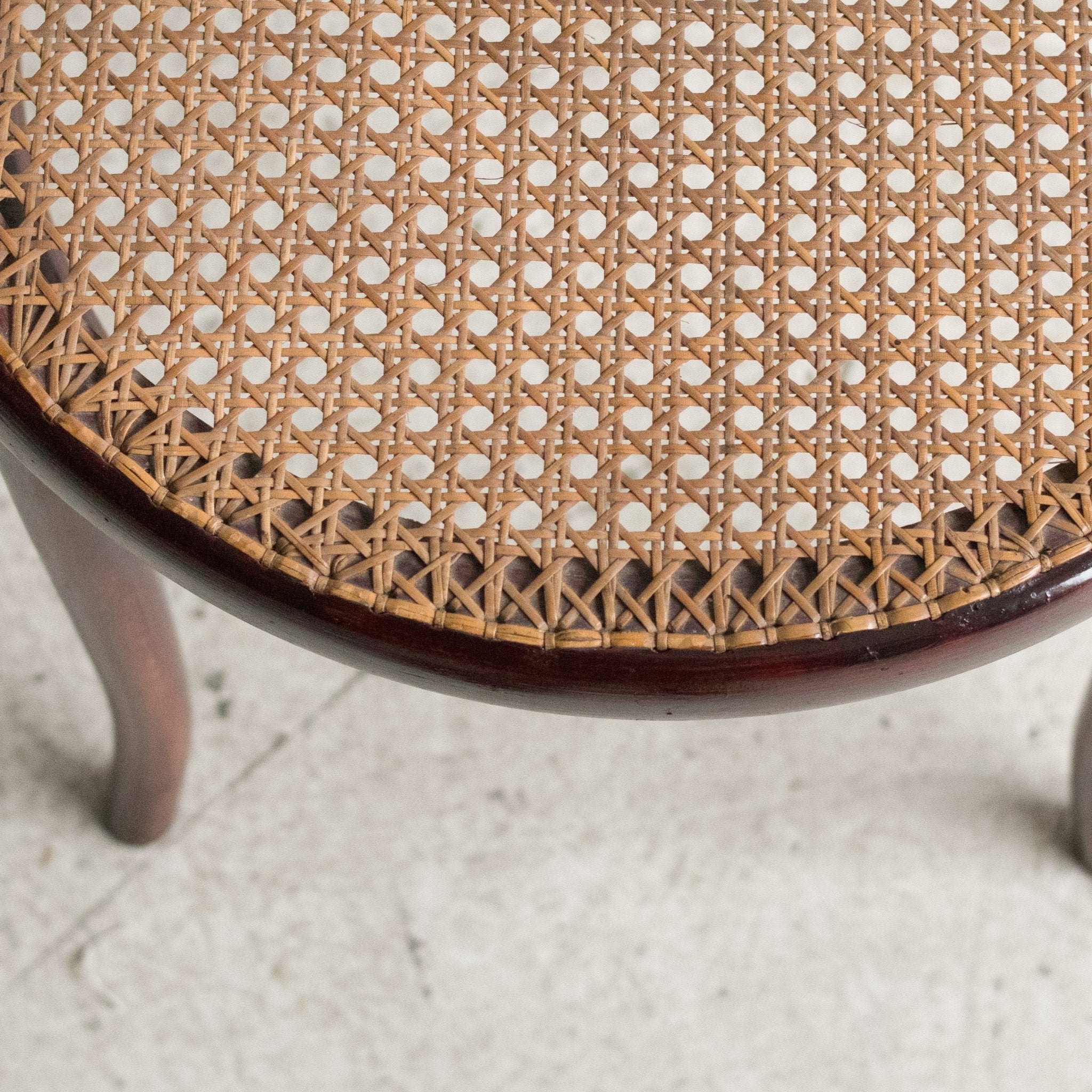 Fischel Arm Chair with Birds - eye Cane - elsie green - furniture