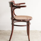 Fischel Arm Chair with Birds - eye Cane - elsie green - furniture