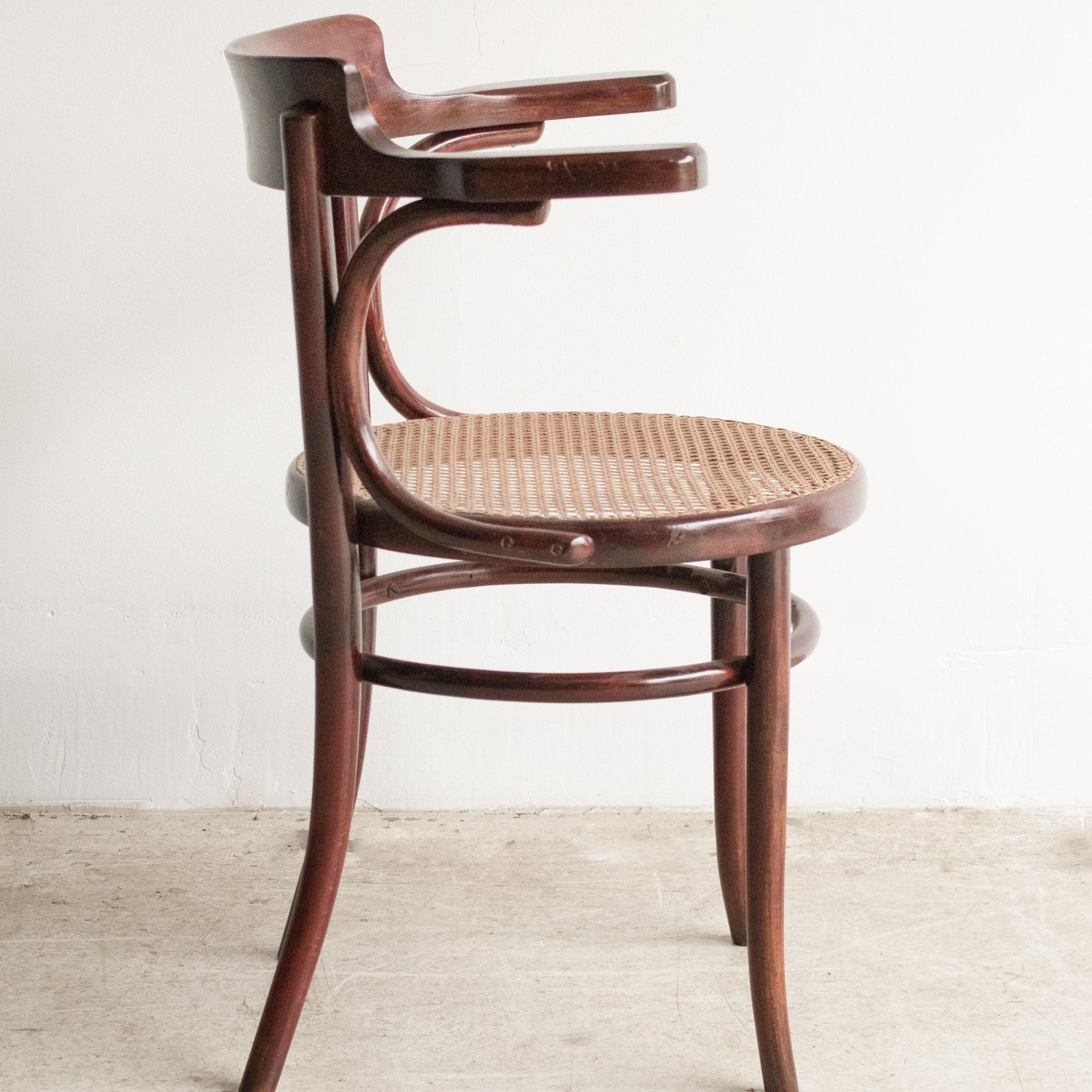 Fischel Arm Chair with Birds - eye Cane - elsie green - furniture