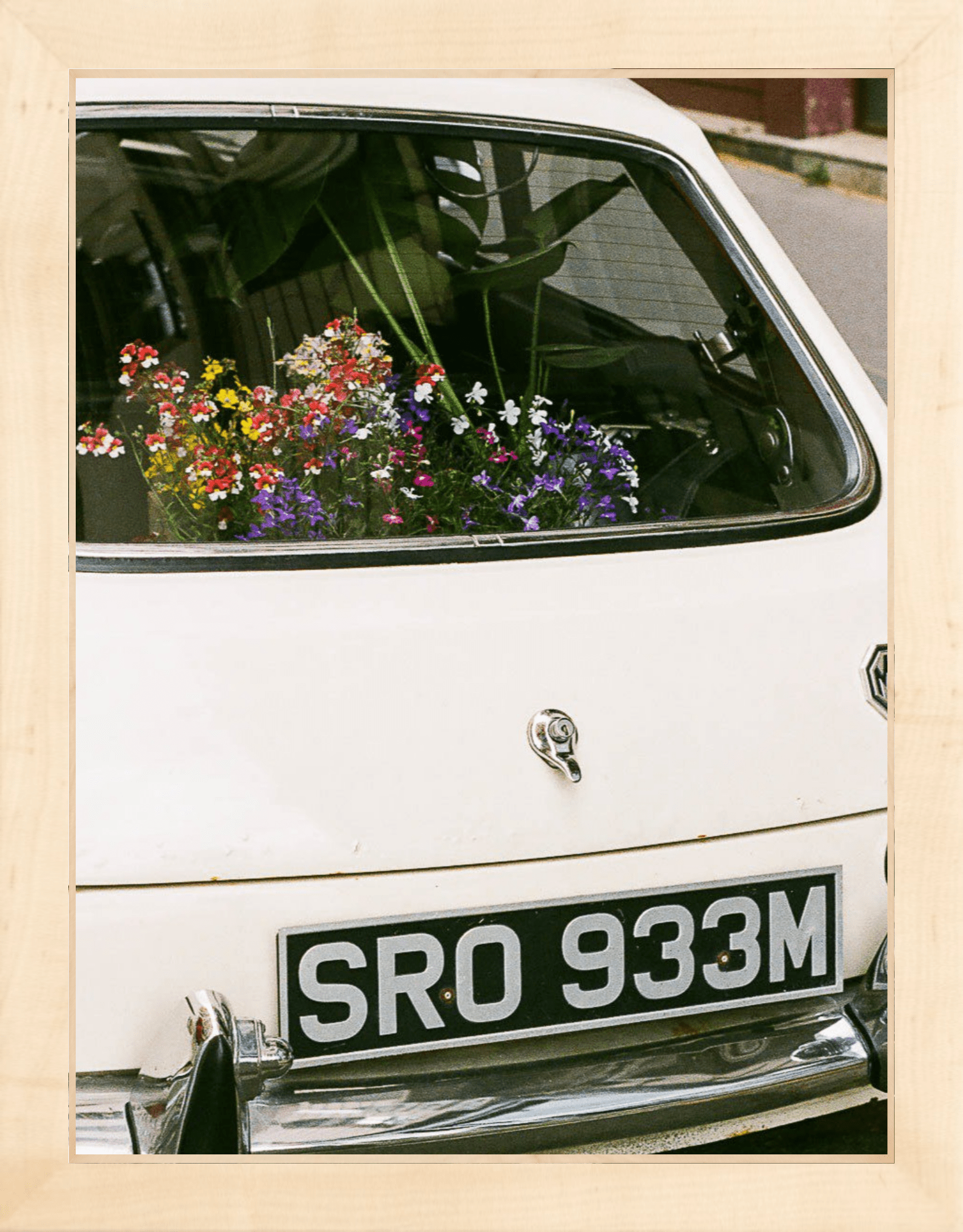 Fleurs à Emporter Printed Photograph - elsie green - Art