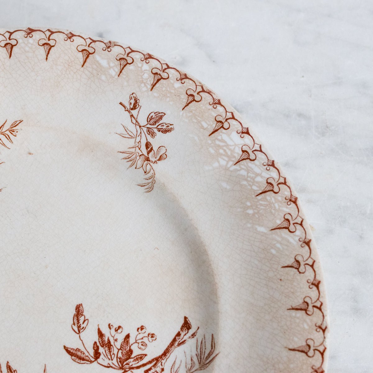 Flore Transferware Plate Set Of 5 - elsie green - The French Kitchen