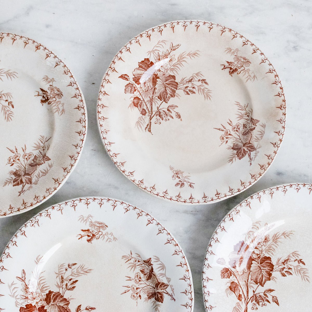 Flore Transferware Plate Set Of 5 - elsie green - The French Kitchen