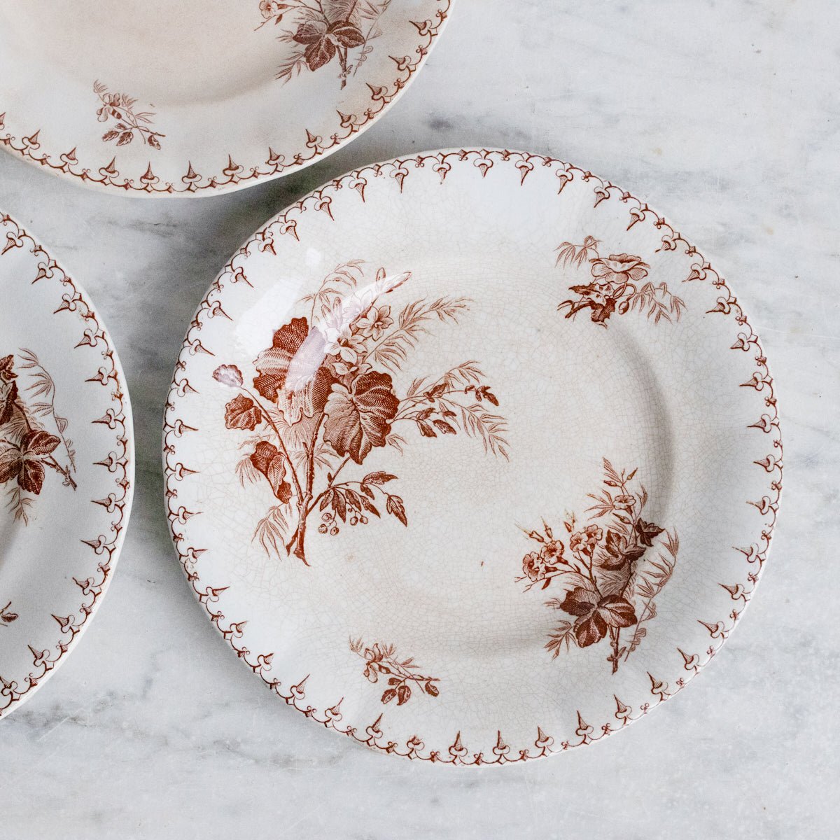 Flore Transferware Plate Set Of 5 - elsie green - The French Kitchen