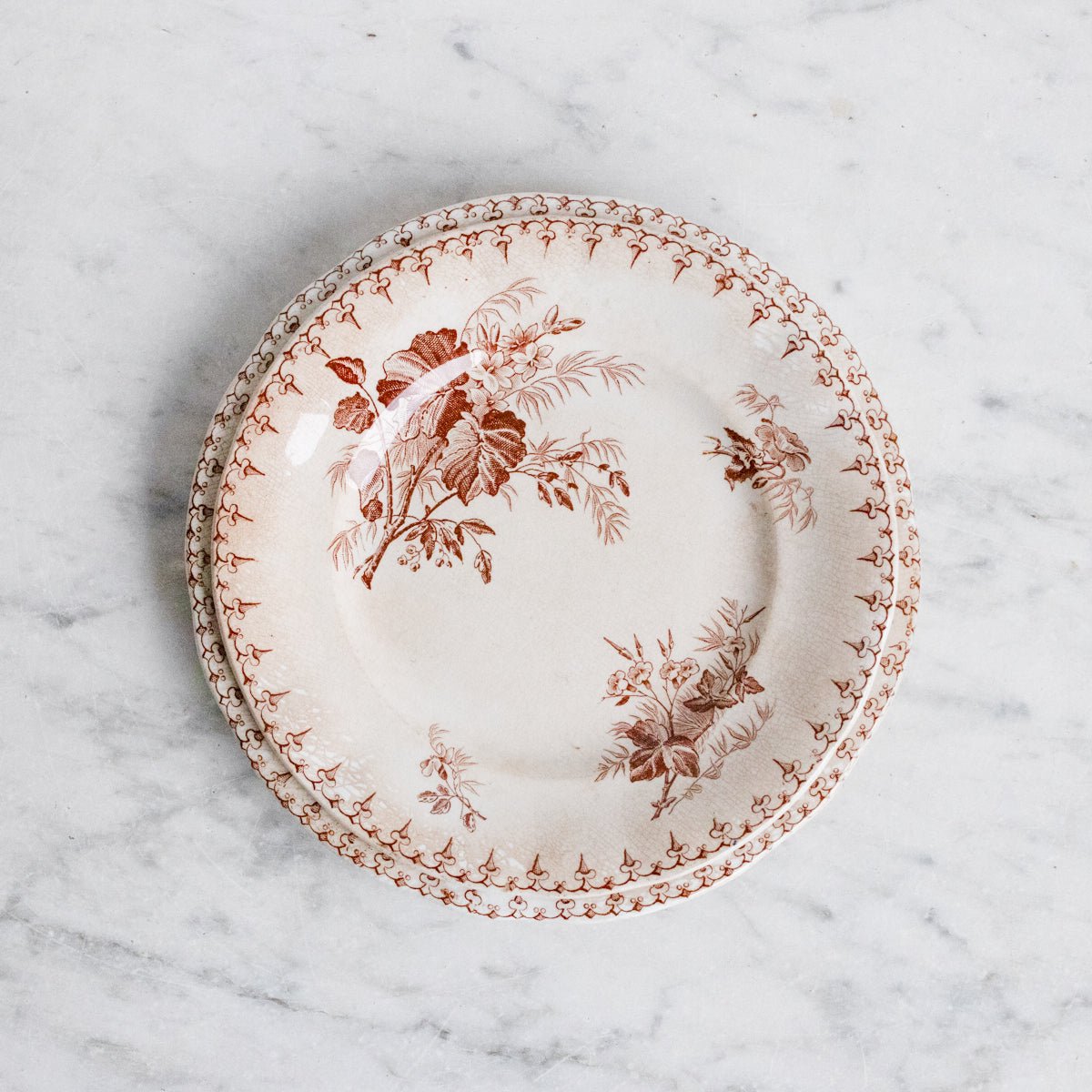 Flore Transferware Plate Set Of 5 - elsie green - The French Kitchen