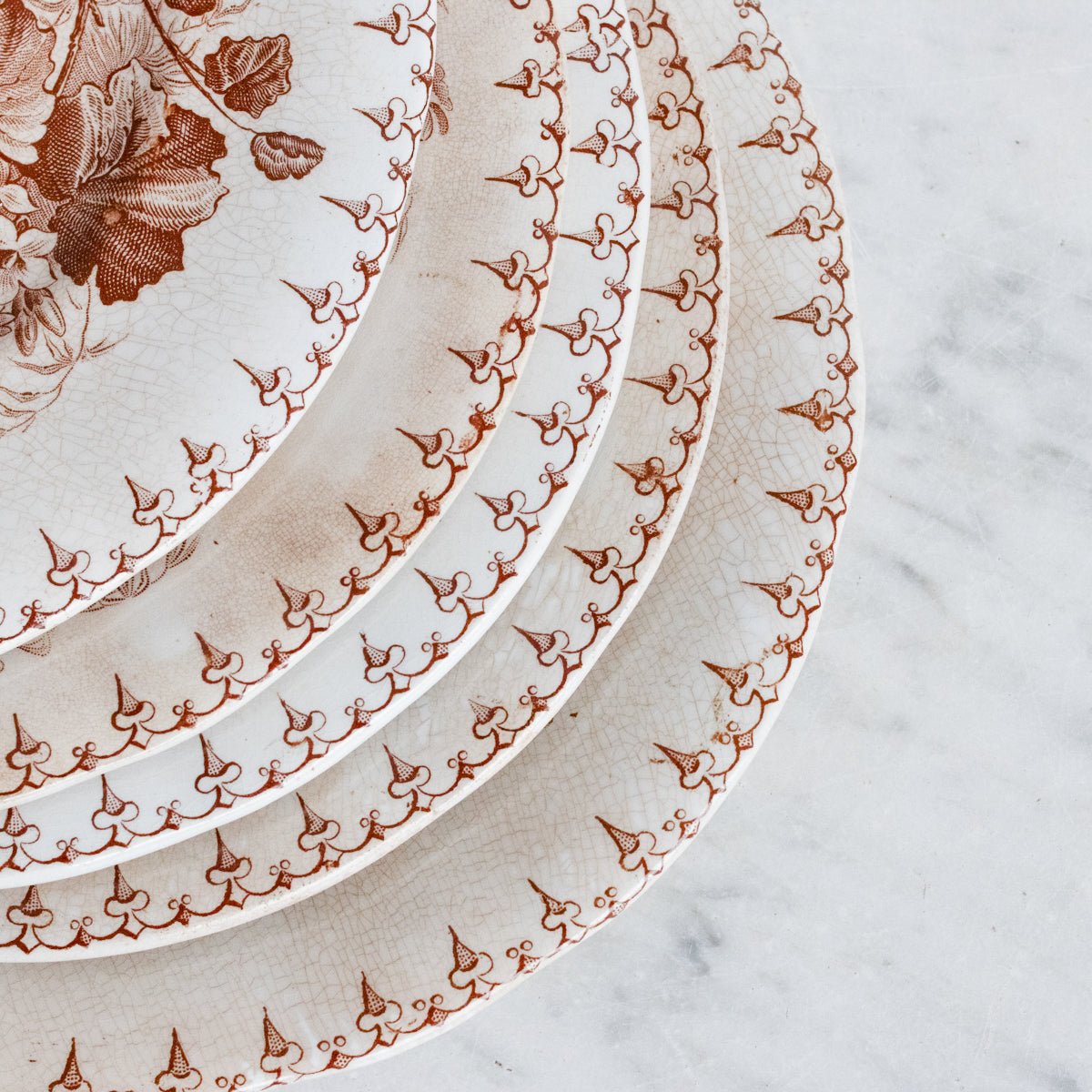 Flore Transferware Plate Set Of 5 - elsie green - The French Kitchen