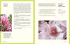 Forage & Feast - elsie green - decor