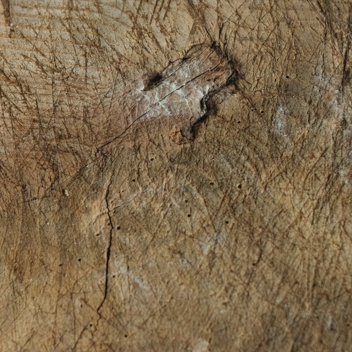 French Bread Board - elsie green - The French Kitchen