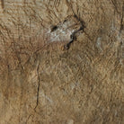 French Bread Board - elsie green - The French Kitchen