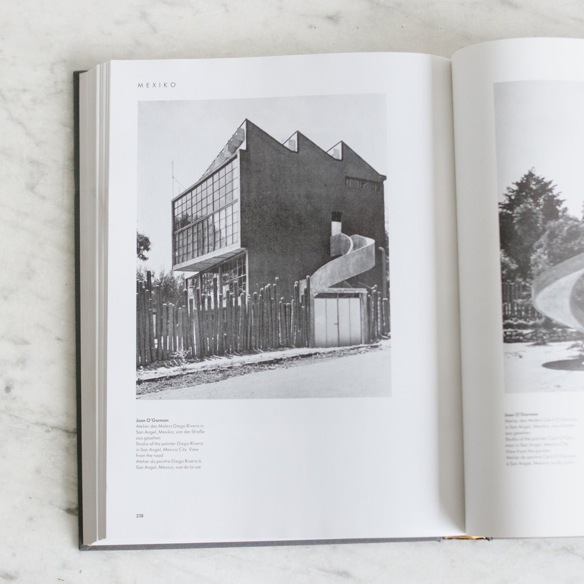 Functional Architecture Vintage Book - elsie green - decor