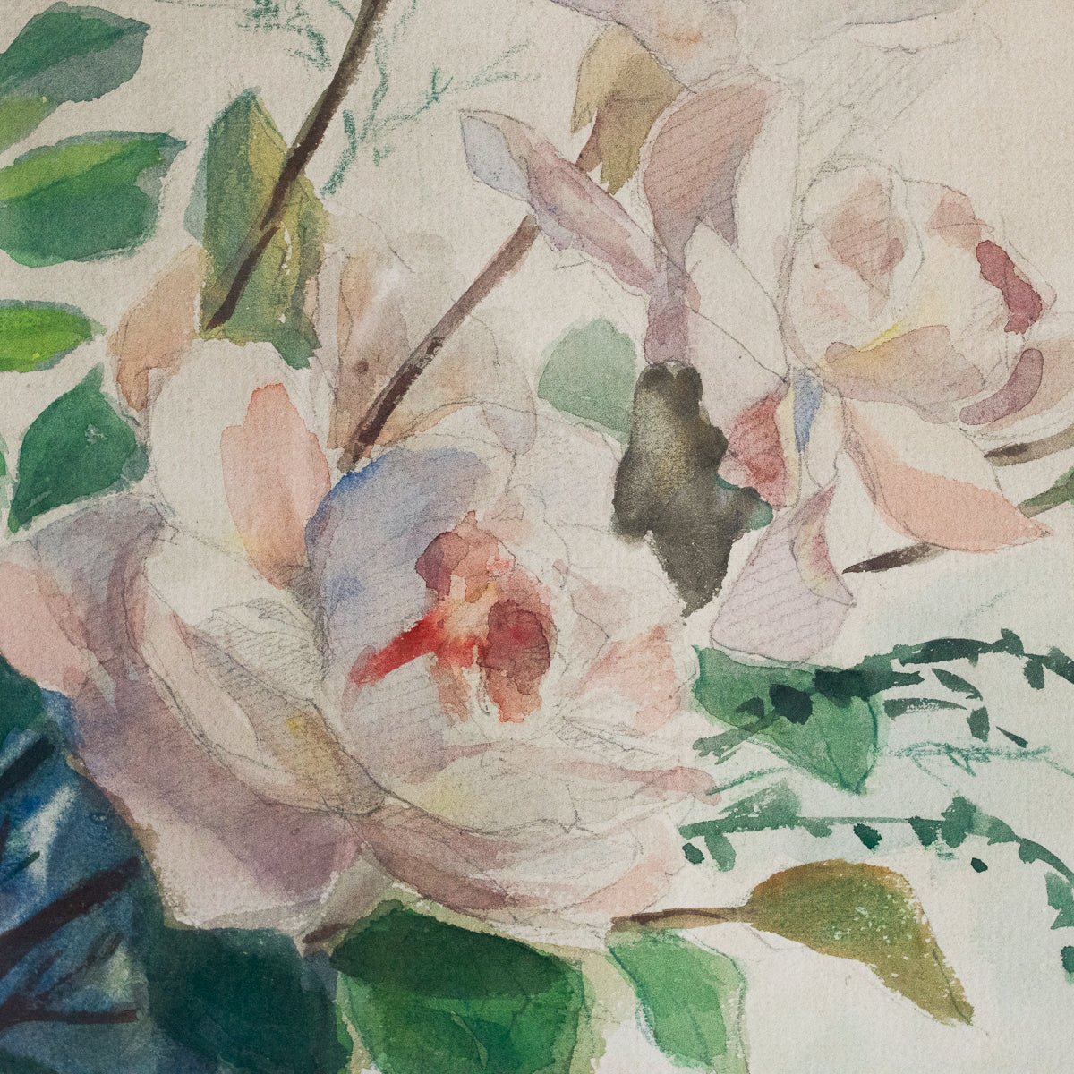 Garden Roses Watercolor Painting - elsie green - art