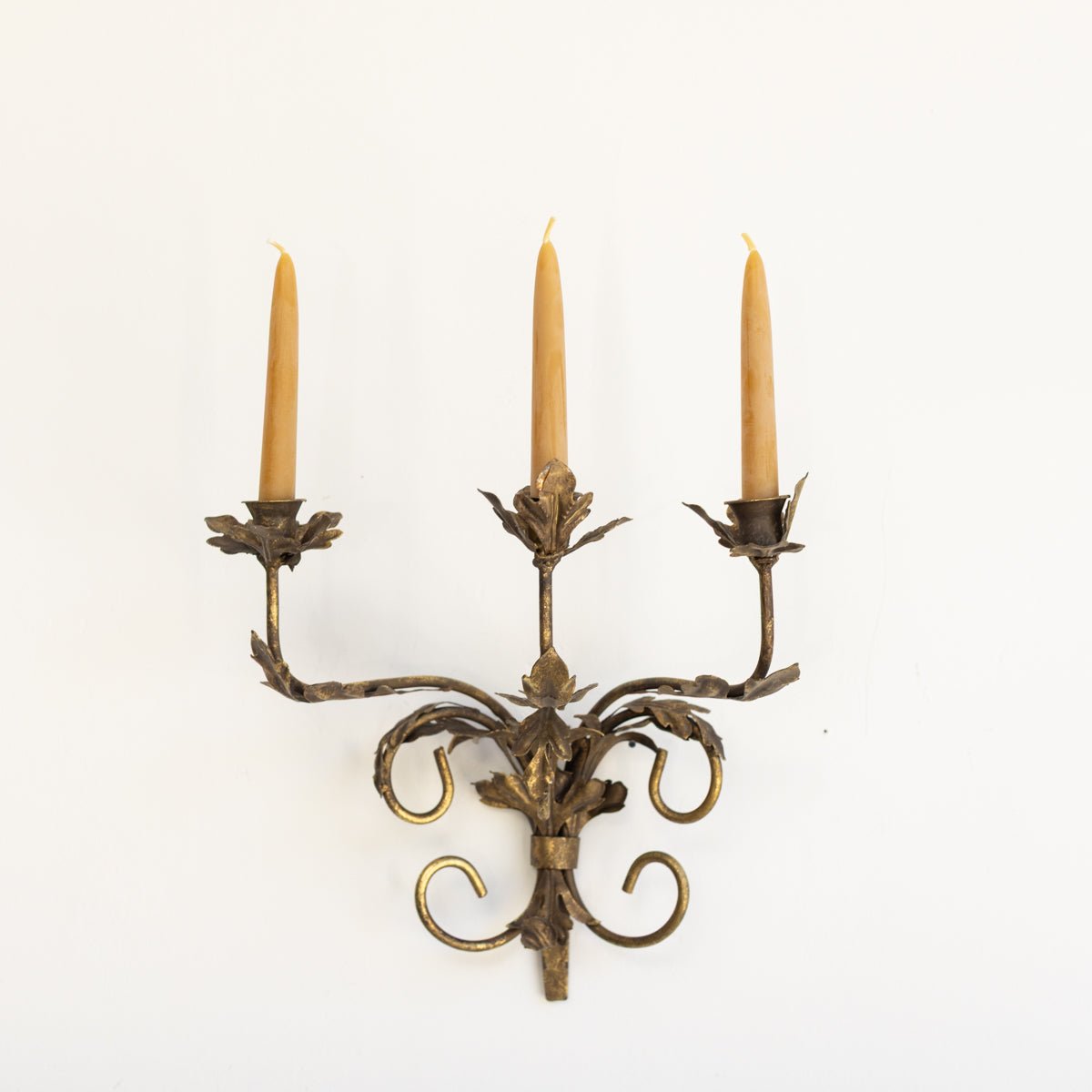 Gilded Botanical Candle Sconce - elsie green - decor