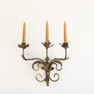Gilded Botanical Candle Sconce - elsie green - decor