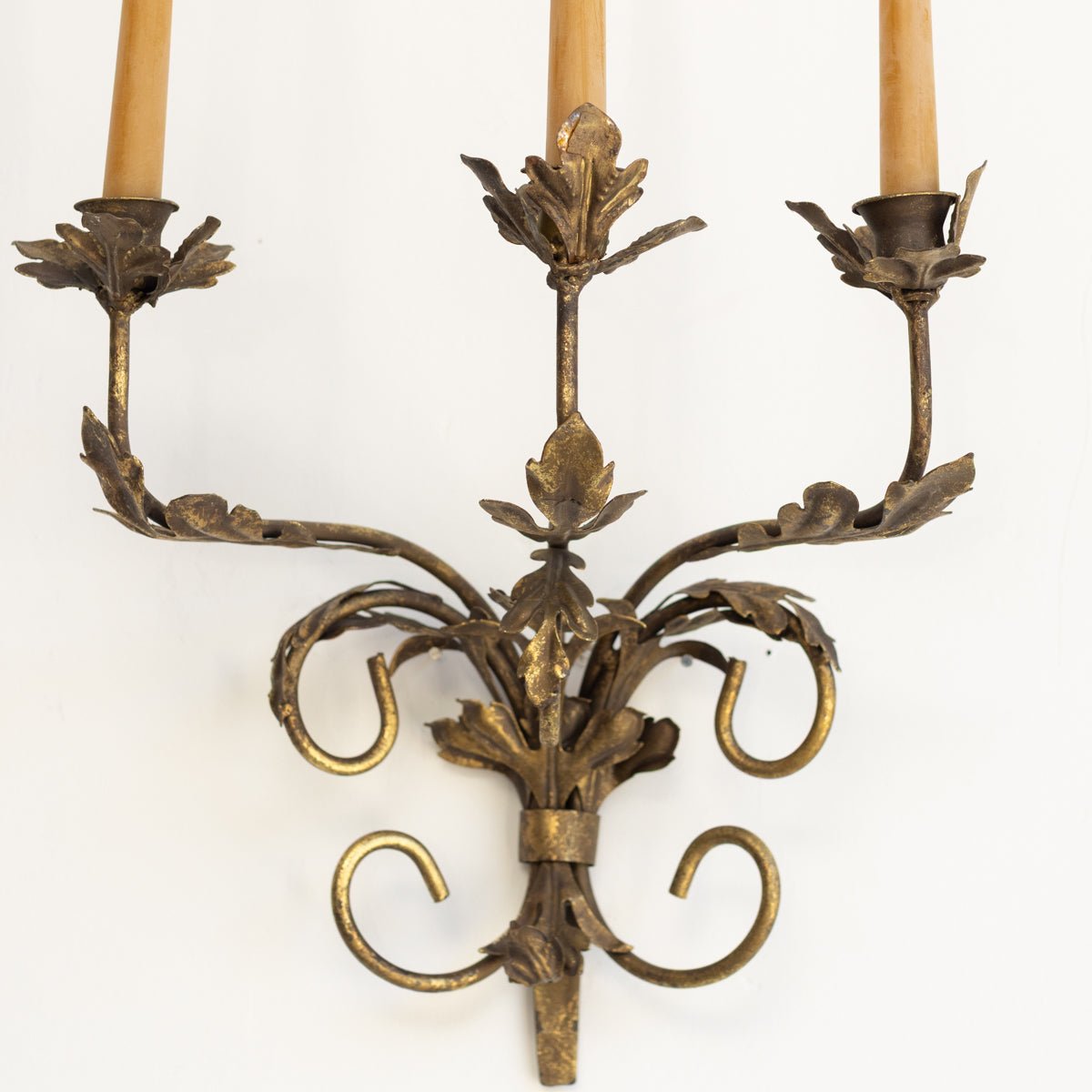 Gilded Botanical Candle Sconce - elsie green - decor