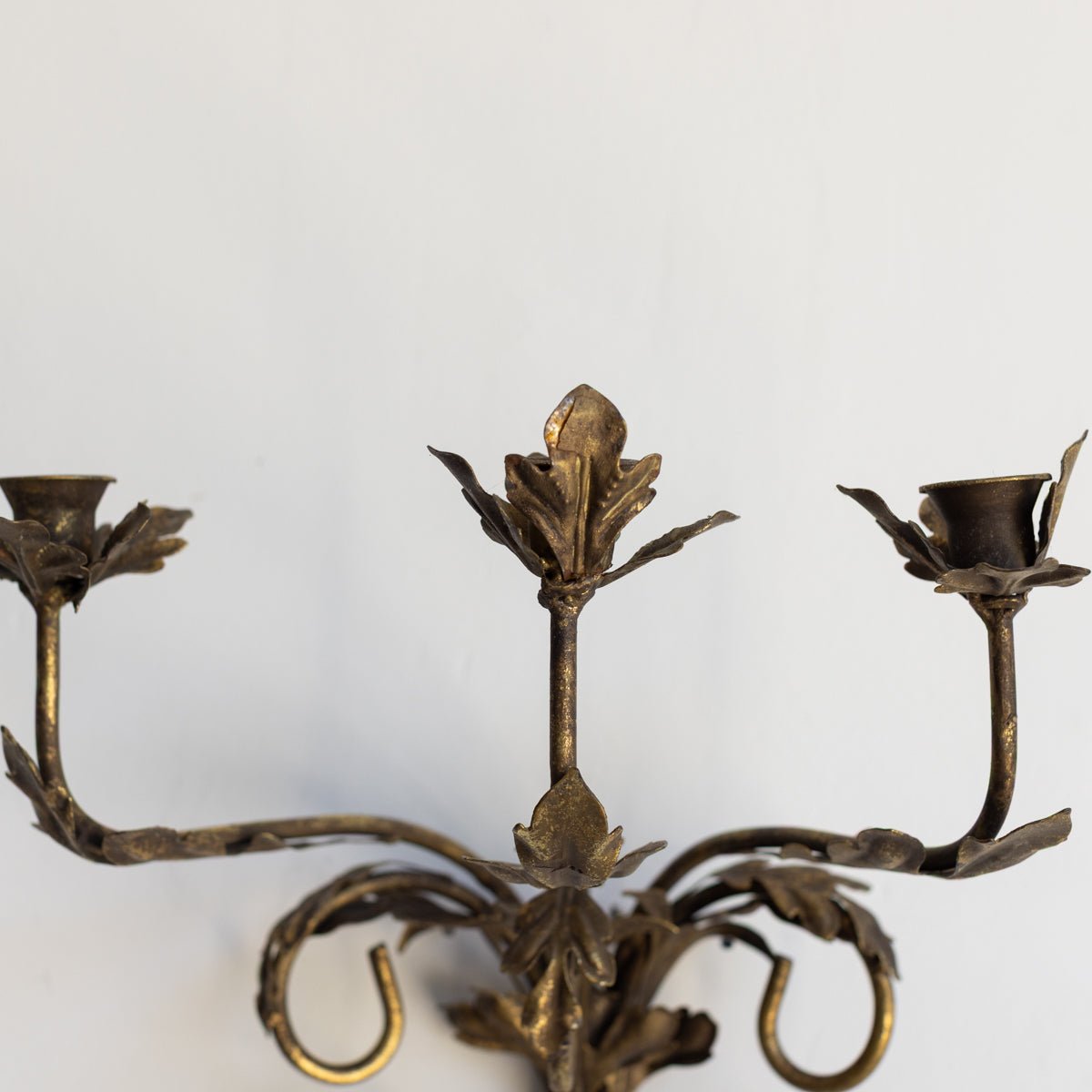 Gilded Botanical Candle Sconce - elsie green - decor