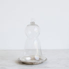 Glass Cloche With Silver Coaster - elsie green - decor