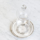Glass Cloche With Silver Coaster - elsie green - decor