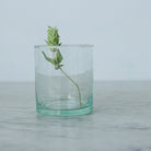 Grande Moroccan Tumbler Set of 6 - elsie green - The French Kitchen