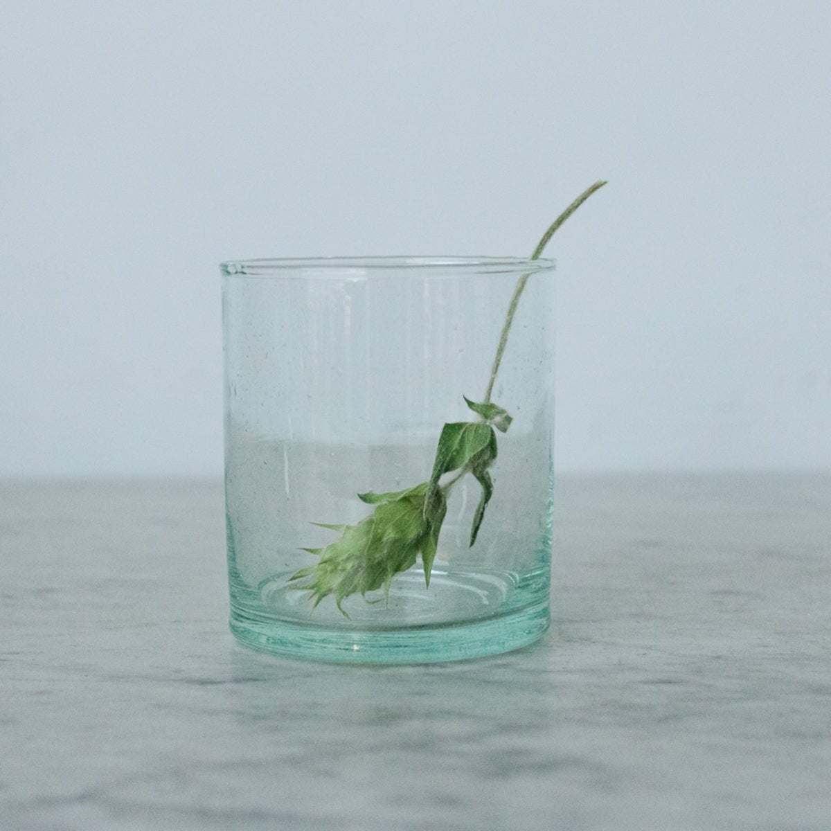 Grande Moroccan Tumbler Set of 6 - elsie green - The French Kitchen