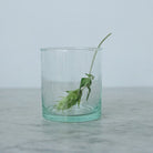 Grande Moroccan Tumbler Set of 6 - elsie green - The French Kitchen