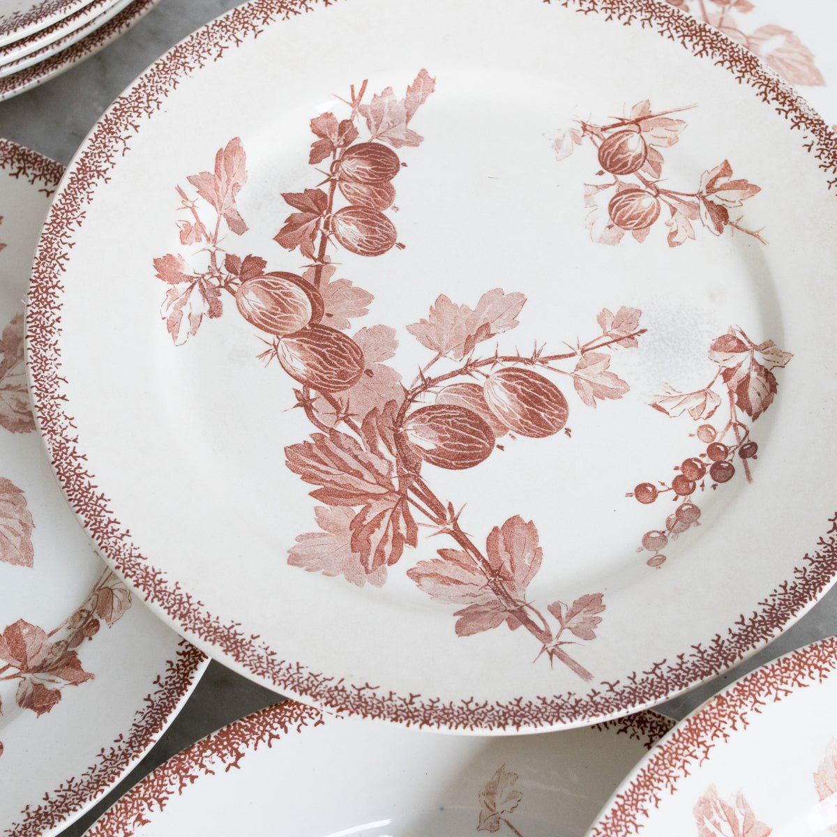 Grosseilles Transferware Dinner Plate Set Of 7 - elsie green - The French Kitchen