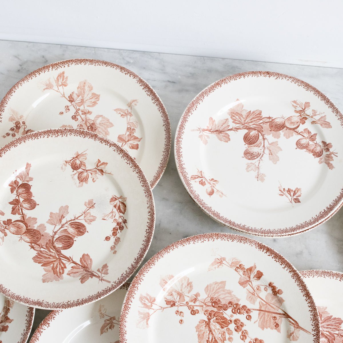 Grosseilles Transferware Dinner Plate Set Of 7 - elsie green - The French Kitchen