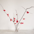 Hand Cut Crystal Pitcher - elsie green - The French Kitchen