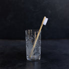 Hand Engraved Blown Glass Tumbler - elsie green - the french kitchen