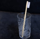 Hand Engraved Blown Glass Tumbler - elsie green - the french kitchen