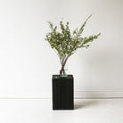 Hand Hewn Side Table with Brass Bow Tie - elsie green - furniture
