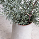 Hand Made Pitcher | Signed By Artist - elsie green - The French Kitchen