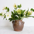 Hand Made Stoneware Crock - elsie green - the french kitchen