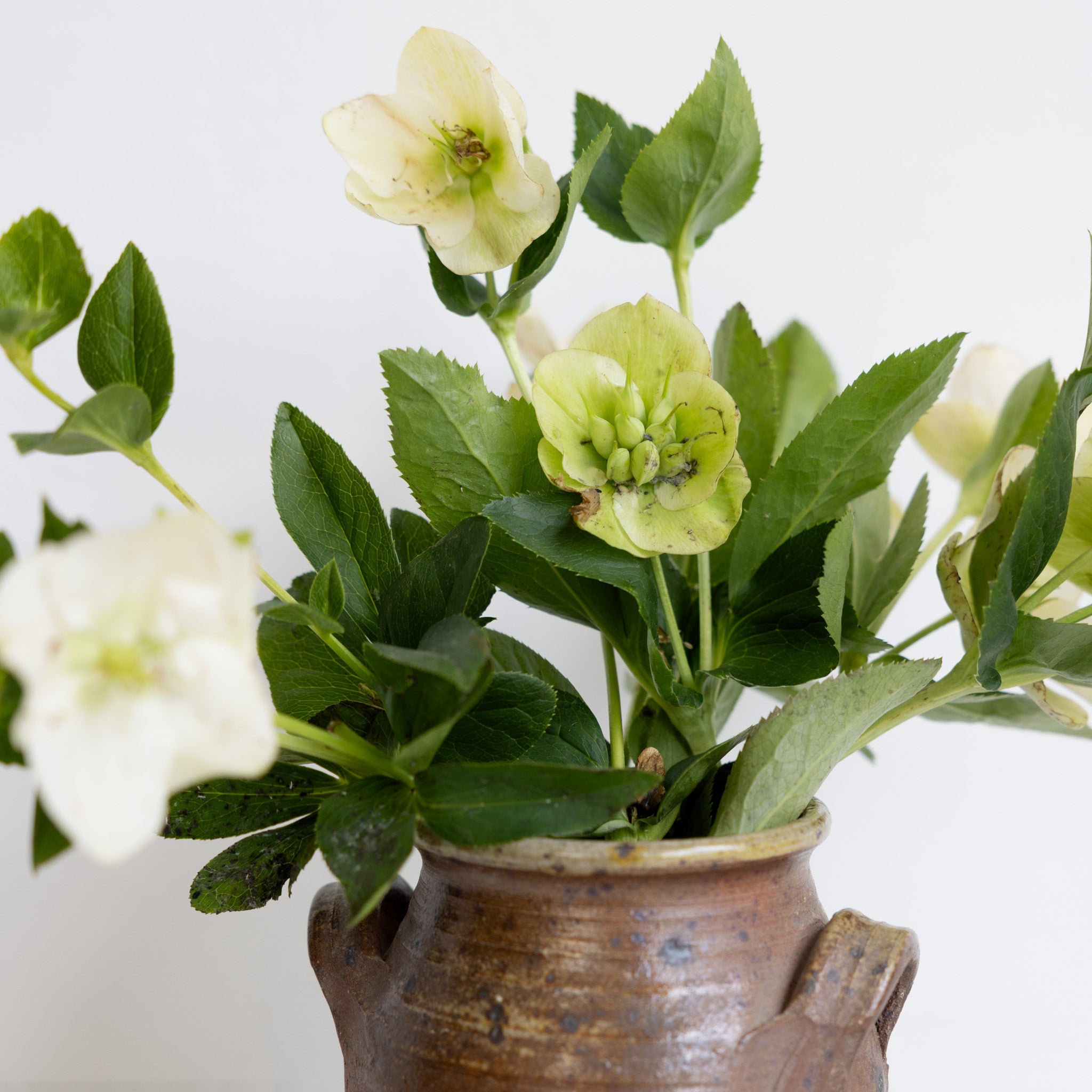 Hand Made Stoneware Crock - elsie green - the french kitchen