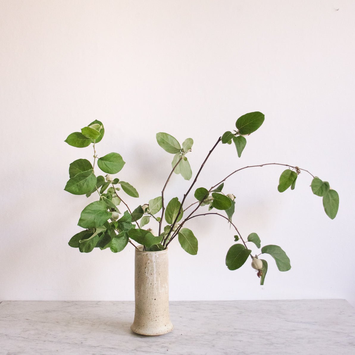 Hand Made Stoneware Vase | Bob Dinetz - elsie green - decor