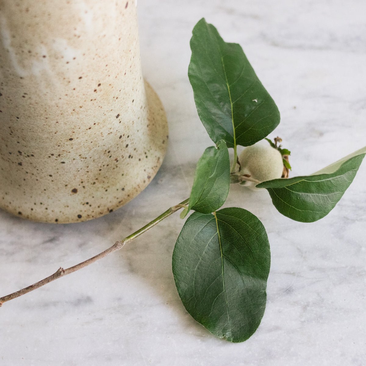 Hand Made Stoneware Vase | Bob Dinetz - elsie green - decor