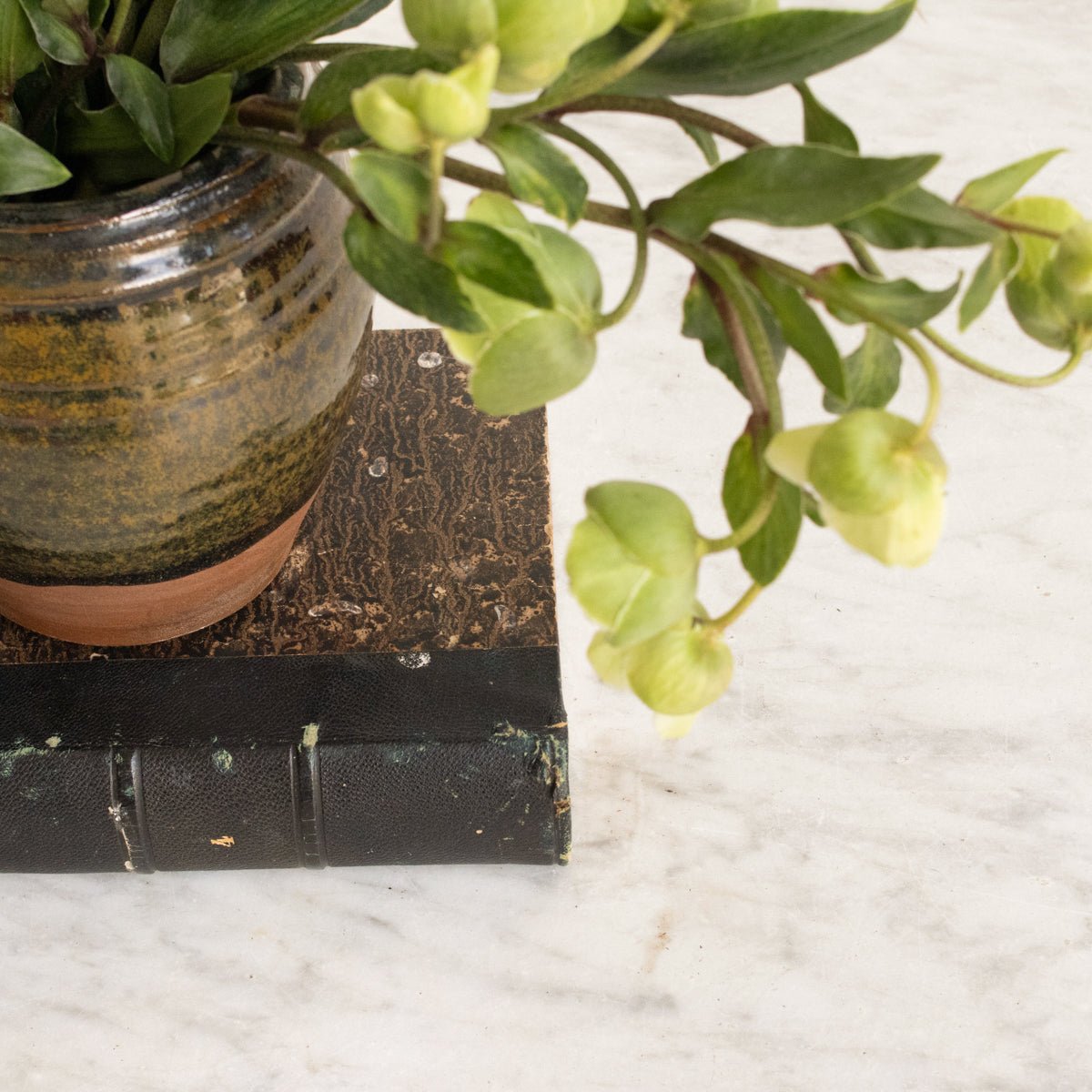 Hand Made Stoneware Vessel | Signed By Artist - elsie green - The French Kitchen