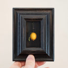 Hanging Lemon | Jefferson Hayman - elsie green - art